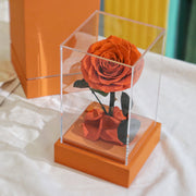 10 Pcs Acrylic Preserved Rose Box Set – Classic Single Stem Gift, Long-Lasting Artificial Flower