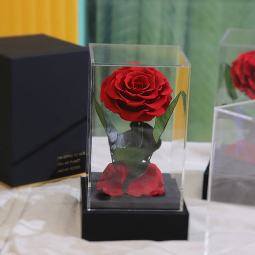 10 Pcs Acrylic Preserved Rose Box Set – Classic Single Stem Gift, Long-Lasting Artificial Flower