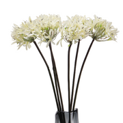 25 Inch Agapanthus Stems Lily of The Nile Flowers 10 Pcs Silk Artificial Bulk