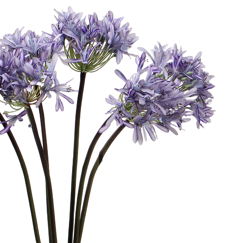 25 Inch Agapanthus Stems Lily of The Nile Flowers 10 Pcs Silk Artificial Bulk