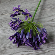 26 Inch Agapanthus Africanus Stems 10 Pcs Faux Silk African Lily Fall Flowers Bulk