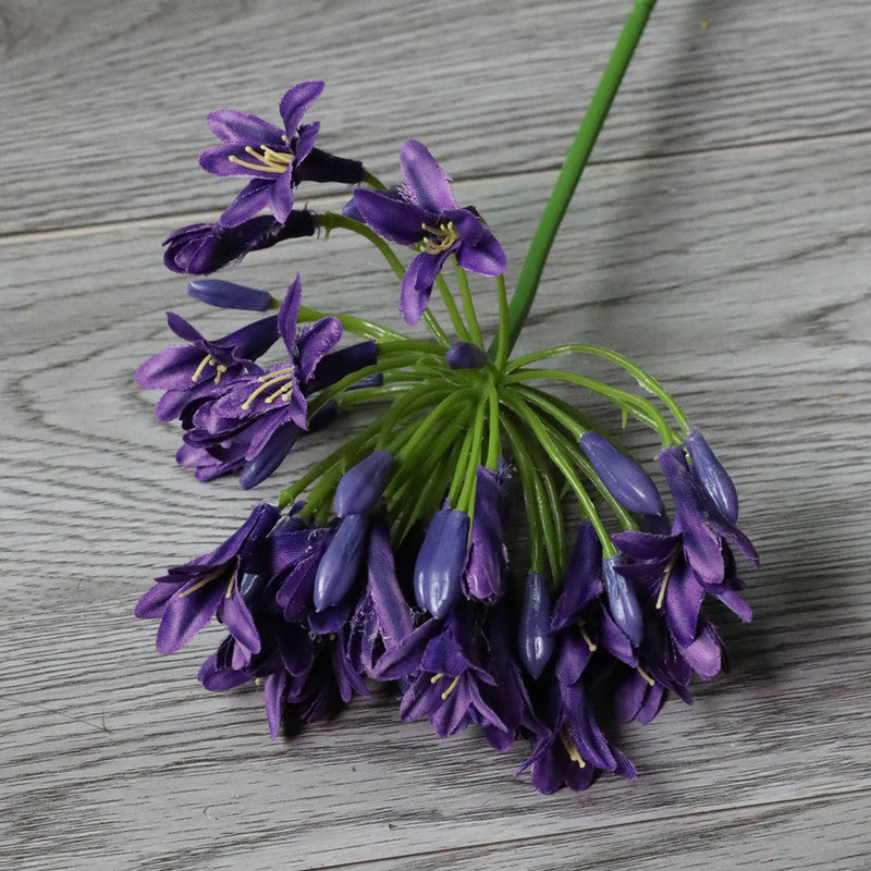 26 Inch Agapanthus Africanus Stems 10 Pcs Faux Silk African Lily Fall Flowers Bulk