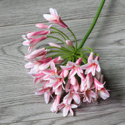 26 Inch Agapanthus Africanus Stems 10 Pcs Faux Silk African Lily Fall Flowers Bulk
