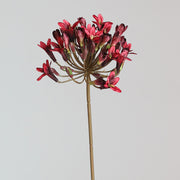 26 Inch Agapanthus Africanus Stems 10 Pcs Faux Silk African Lily Fall Flowers Bulk