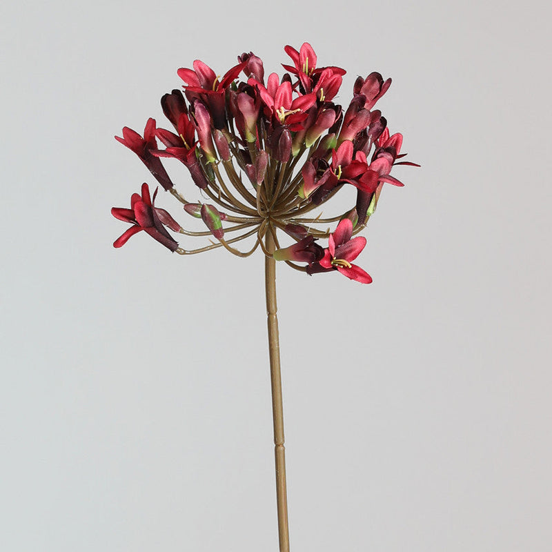26 Inch Agapanthus Africanus Stems 10 Pcs Faux Silk African Lily Fall Flowers Bulk