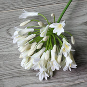26 Inch Agapanthus Africanus Stems 10 Pcs Faux Silk African Lily Fall Flowers Bulk
