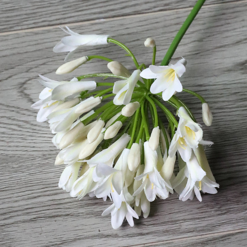 26 Inch Agapanthus Africanus Stems 10 Pcs Faux Silk African Lily Fall Flowers Bulk