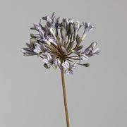 26 Inch Agapanthus Africanus Stems 10 Pcs Faux Silk African Lily Fall Flowers Bulk