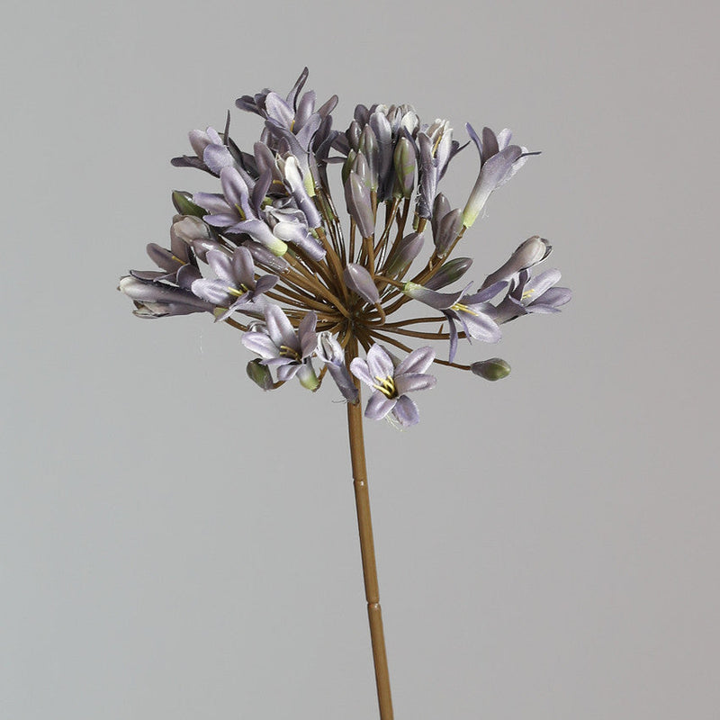 26 Inch Agapanthus Africanus Stems 10 Pcs Faux Silk African Lily Fall Flowers Bulk