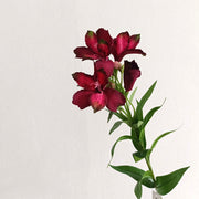 29 Inch Artificial Silk Alstroemeria Stems Bulk Quantity