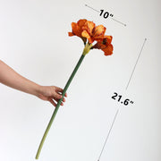 Velvet Amaryllis Stem 24 Inch Artificial Flower Silk Material