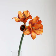 Velvet Amaryllis Stem 24 Inch Artificial Flower Silk Material
