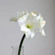 Velvet Amaryllis Stem 24 Inch Artificial Flower Silk Material