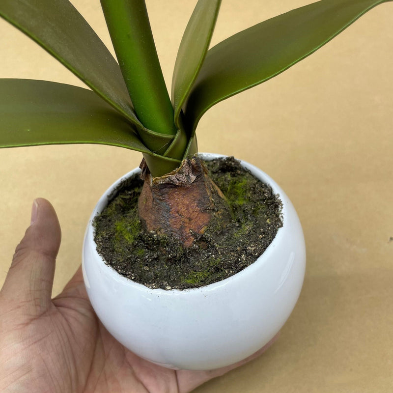 15 Inch Artificial Amaryllis Potted Flowers 1 Pc Holiday Christmas Decoration