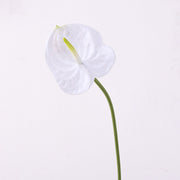 35 Inch Extra Long Anthurium Stems, 10 Pcs Real Touch Artificial Flowers