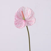 35 Inch Extra Long Anthurium Stems, 10 Pcs Real Touch Artificial Flowers