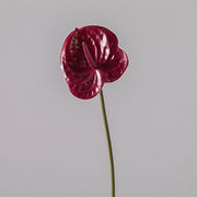 35 Inch Extra Long Anthurium Stems, 10 Pcs Real Touch Artificial Flowers