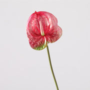 35 Inch Extra Long Anthurium Stems, 10 Pcs Real Touch Artificial Flowers