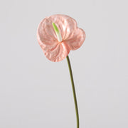 35 Inch Extra Long Anthurium Stems, 10 Pcs Real Touch Artificial Flowers