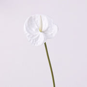 35 Inch Extra Long Anthurium Stems, 10 Pcs Real Touch Artificial Flowers