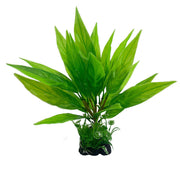 Artificial Aquarium Plants 10 Pcs Green Tree Decorations, 6 Inch, Plastic