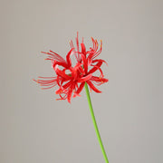 10 Pcs Mandarava Artificial Floral Stems Bulk Wholesale Silk Flowers