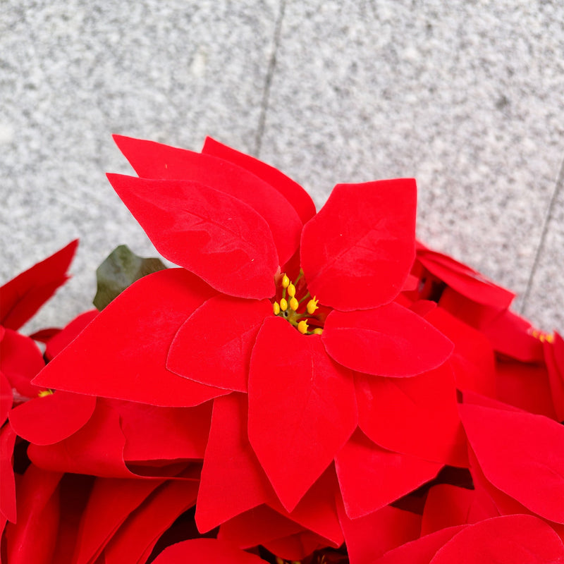 24-Inch Artificial Red Velvet Poinsettia with Vase, 24 Heads, UV Resistant Outdoor Memorial Flowers Bulk