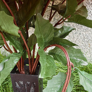 24-Inch Artificial Red Velvet Poinsettia with Vase, 24 Heads, UV Resistant Outdoor Memorial Flowers Bulk