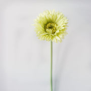 10 Pcs 7.8 Inch Artificial African Gerbera Daisy Stems Silk Flowers Bouquet