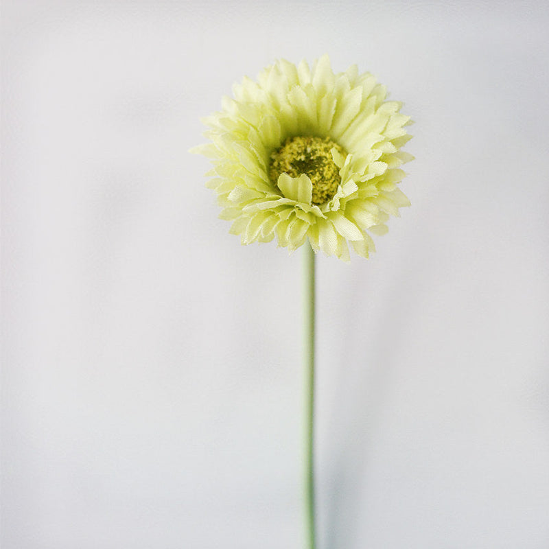 10 Pcs 7.8 Inch Artificial African Gerbera Daisy Stems Silk Flowers Bouquet