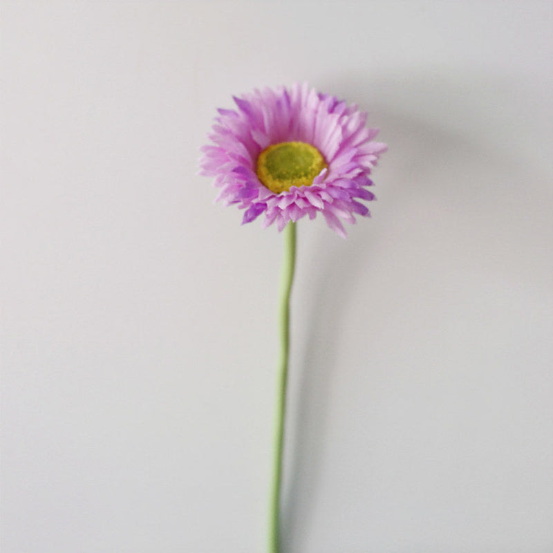 10 Pcs 7.8 Inch Artificial African Gerbera Daisy Stems Silk Flowers Bouquet