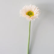 10 Pcs 7.8 Inch Artificial African Gerbera Daisy Stems Silk Flowers Bouquet