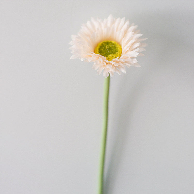 10 Pcs 7.8 Inch Artificial African Gerbera Daisy Stems Silk Flowers Bouquet