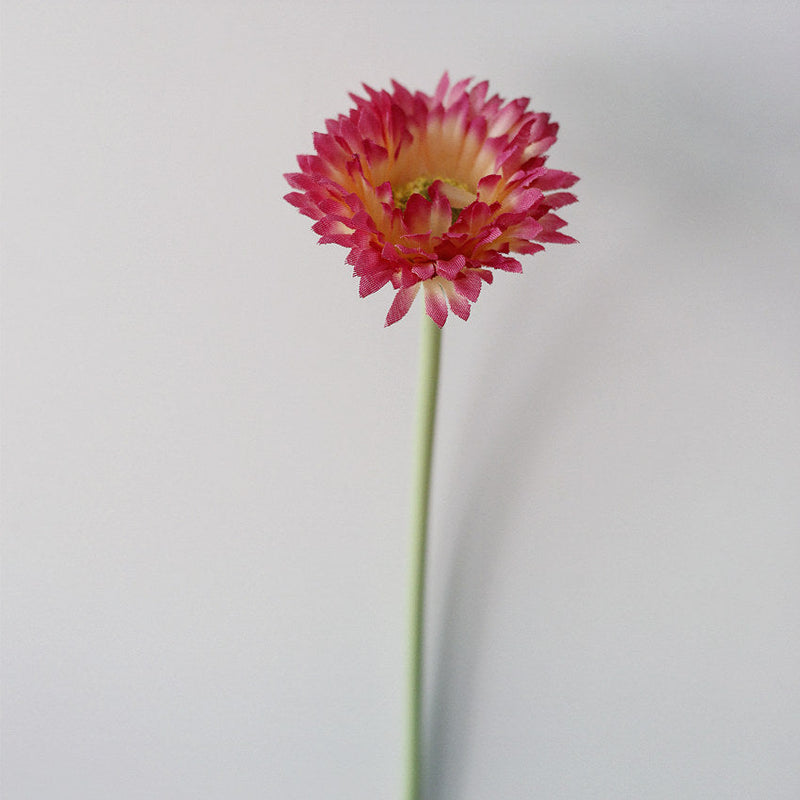 10 Pcs 7.8 Inch Artificial African Gerbera Daisy Stems Silk Flowers Bouquet