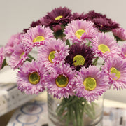 10 Pcs 7.8 Inch Artificial African Gerbera Daisy Stems Silk Flowers Bouquet