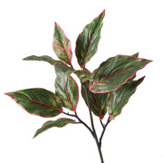 31 Inch Artificial Aglaonema Plant with Red Edge Siam Leaves, Bulk Wholesale Rohdea Calatheas Leaf