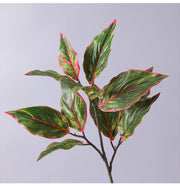 31 Inch Artificial Aglaonema Plant with Red Edge Siam Leaves, Bulk Wholesale Rohdea Calatheas Leaf