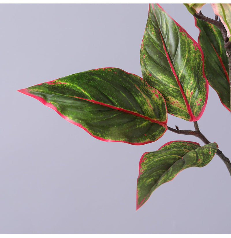 31 Inch Artificial Aglaonema Plant with Red Edge Siam Leaves, Bulk Wholesale Rohdea Calatheas Leaf