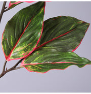 31 Inch Artificial Aglaonema Plant with Red Edge Siam Leaves, Bulk Wholesale Rohdea Calatheas Leaf