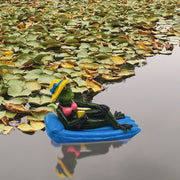 6 Inch Artificial Floating Frog Decorations for Pool Fishing Tank, Bulk Set