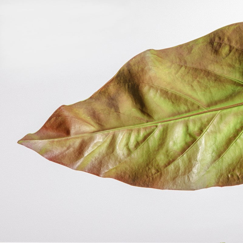 Artificial Apista Banana Leaf Foliage Plant 25 Inch Greenery Bulk Quantity