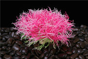 5 Inch Artificial Aquarium Plants Greenery Ornaments Bulk Pack