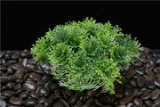 5 Inch Artificial Aquarium Plants Greenery Ornaments Bulk Pack
