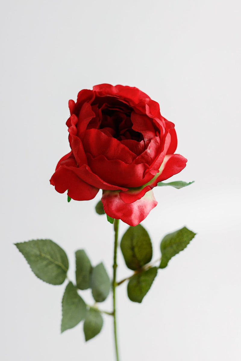 26 Inch Artificial Austin Rose Stems – 1 Stem, Silk Flowers