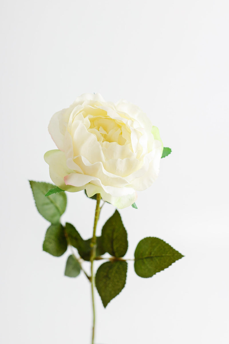 26 Inch Artificial Austin Rose Stems – 1 Stem, Silk Flowers