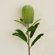 Artificial Banksia Protea Flower Stem 25 Inch 10 Pcs Silk Bulk Wholesale