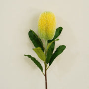 Artificial Banksia Protea Flower Stem 25 Inch 10 Pcs Silk Bulk Wholesale