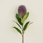 Artificial Banksia Protea Flower Stem 25 Inch 10 Pcs Silk Bulk Wholesale