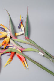 39 Inch Artificial Bird of Paradise Flowers Bulk 10 Pcs Silk Stems