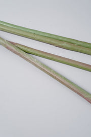 39 Inch Artificial Bird of Paradise Flowers Bulk 10 Pcs Silk Stems